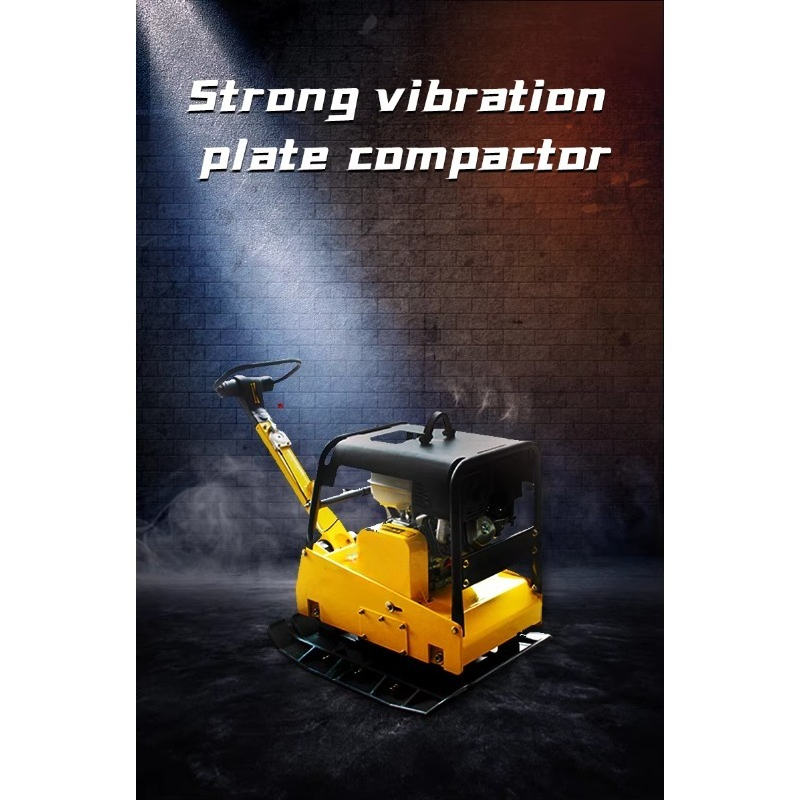 Handheld Reversible Soil Compa - Plate Compactor Vibrator recension och pris